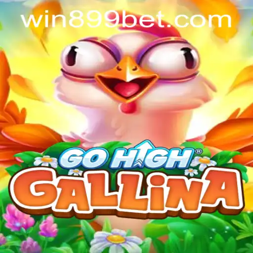 Exploring the Excitement of GoHighGallina: A Guide to Rules and Gameplay